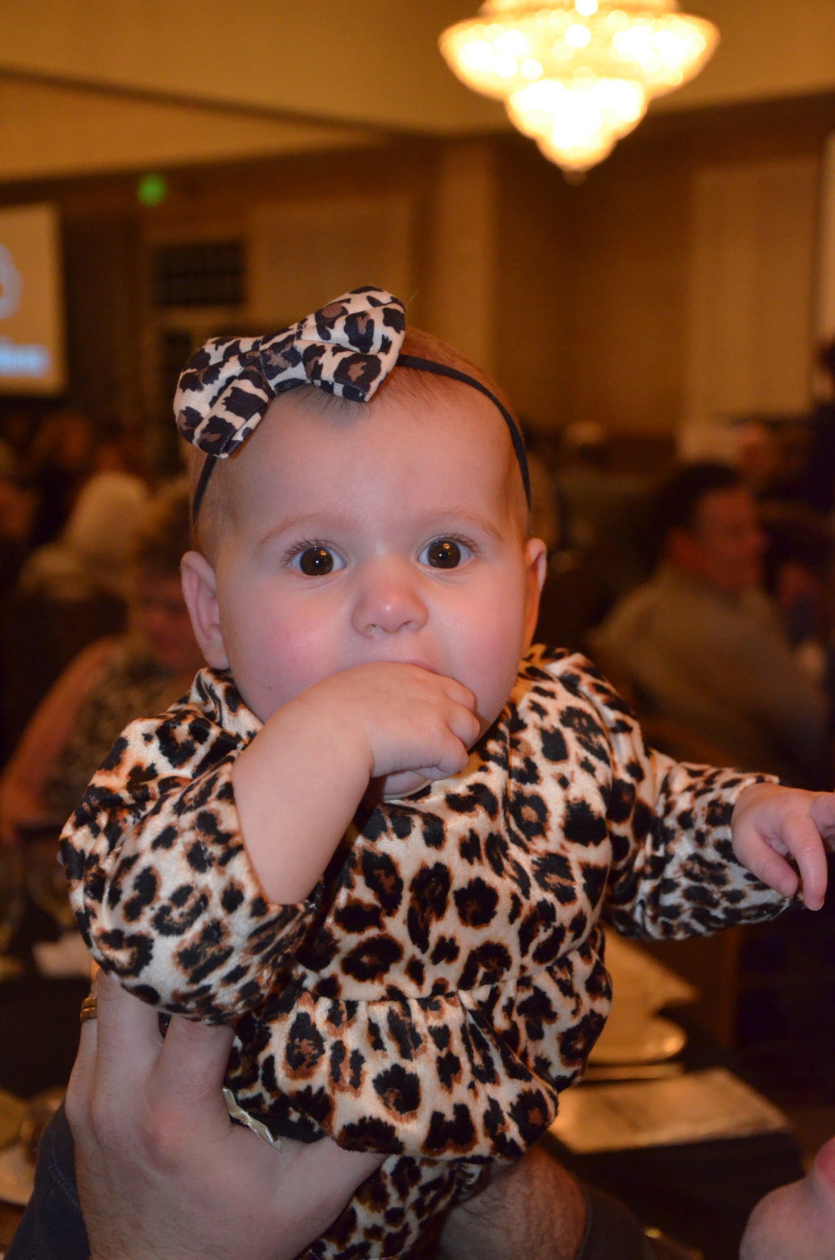 Humane Indiana Gala